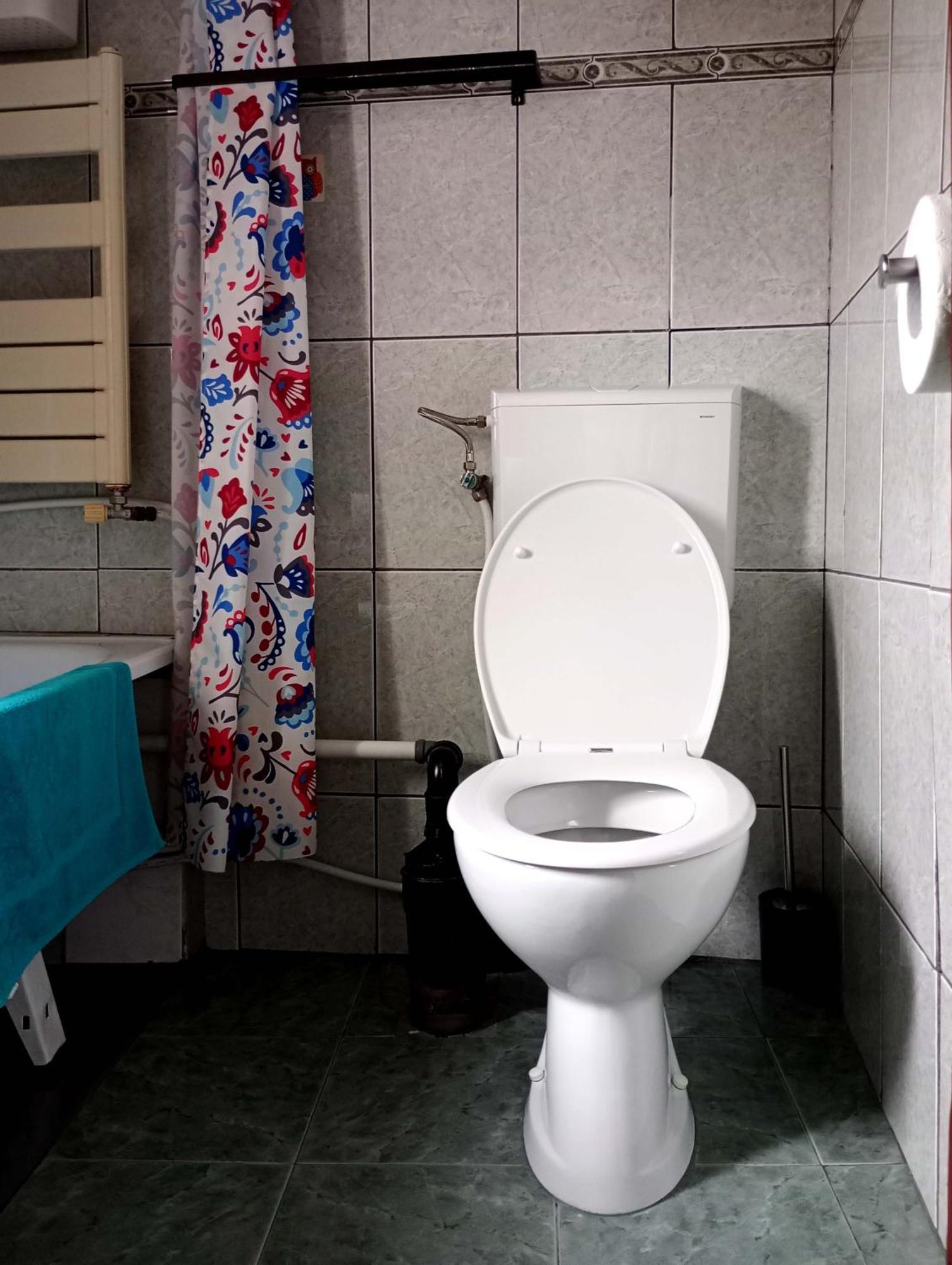 Mansarda Apartment Cluj-Napoca Luaran gambar